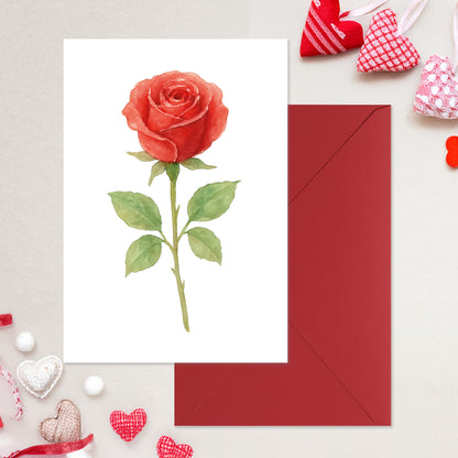 Cheerin Rose Valentine&