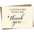 A Little Card with a Big Thank You card — front and envelope