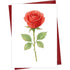 Red Rose Greeting Card Blank Inside — front cover and envelope
